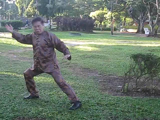 Wu Chuan You Style Taijiquan